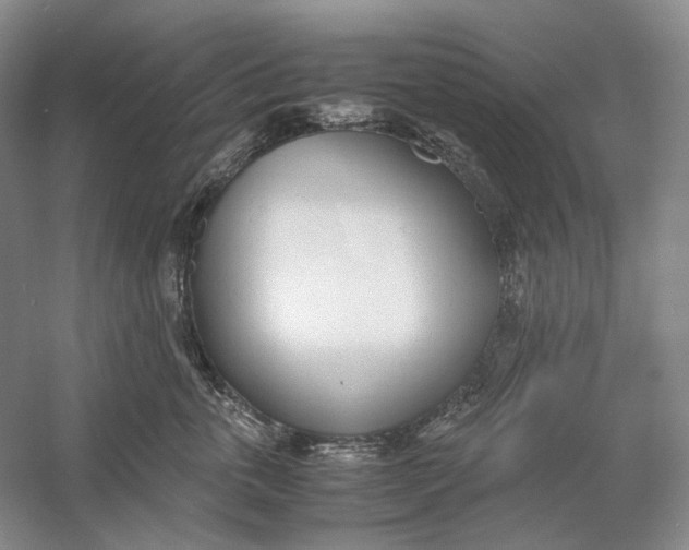 X0000060780763200512011638