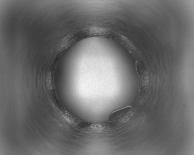 X0000060780764200512011638