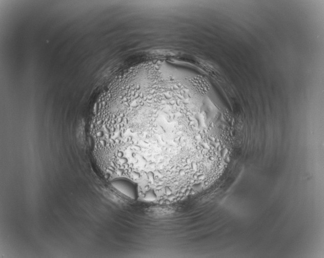 X0000060780765200512011638