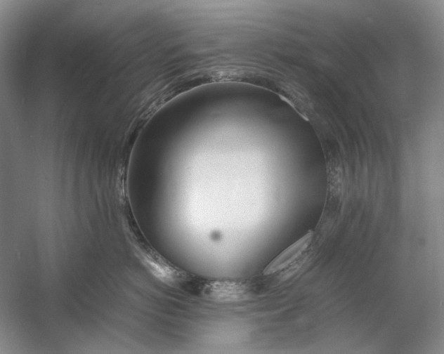 X0000060780766200512011638