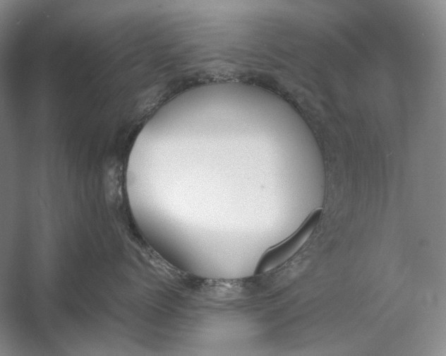 X0000060780768200512011638