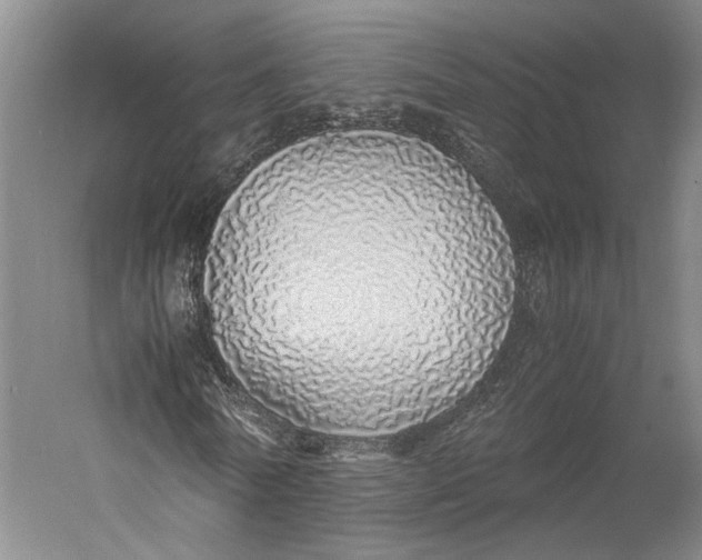 X0000060780770200512011638