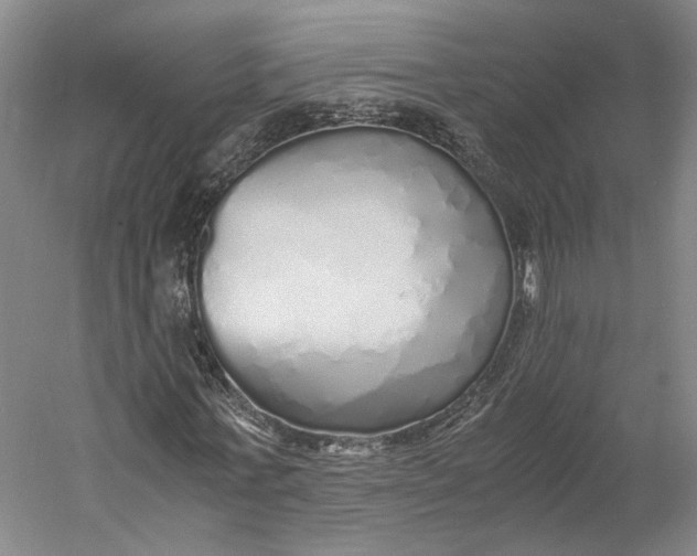 X0000060780771200512011638