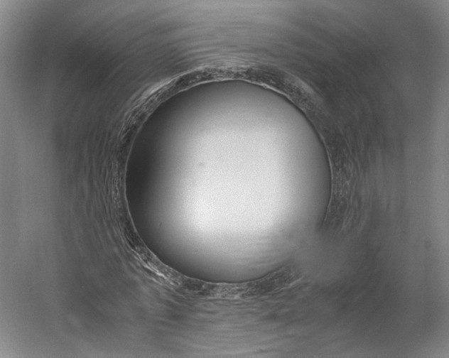X0000060780773200512011638