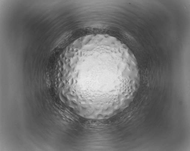 X0000060780774200512011638