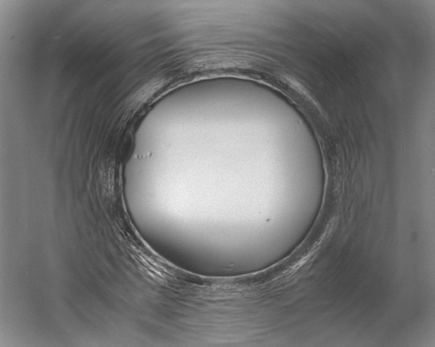 X0000060780777200512011637