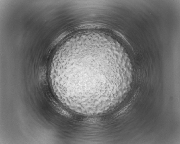 X0000060780778200512011637