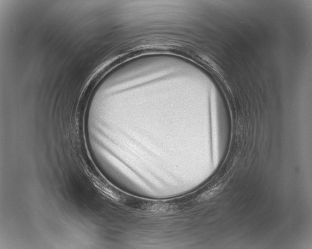 X0000060780779200512011637