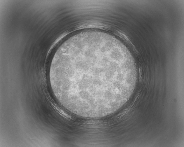 X0000060780780200512011637