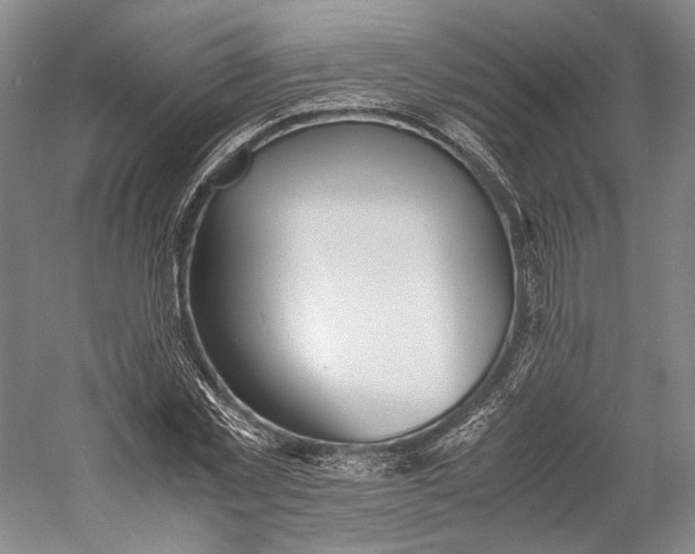X0000060780781200512011637