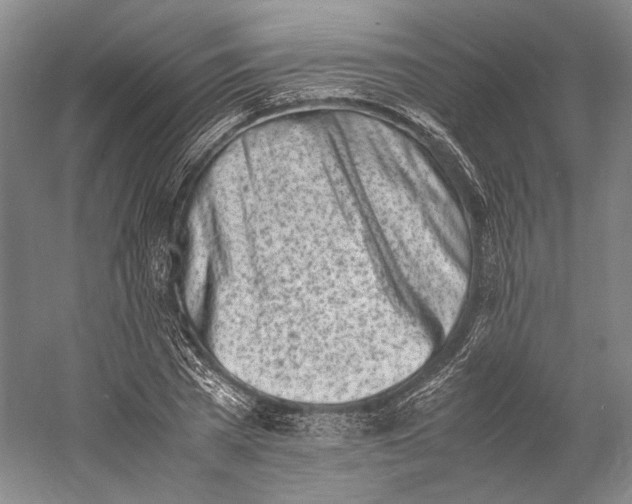 X0000060780785200512011637