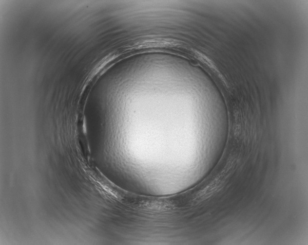 X0000060780786200512011637