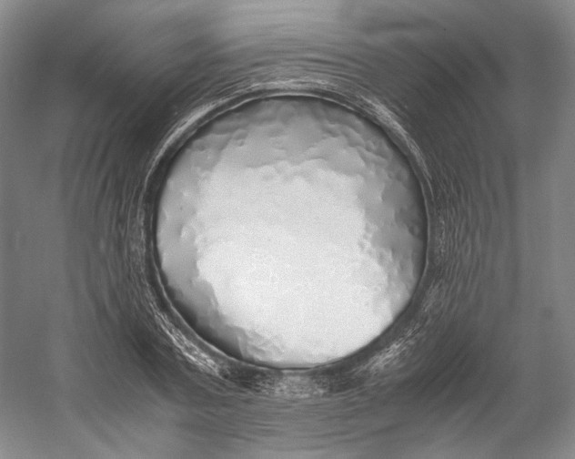 X0000060780787200512011637