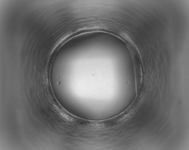 X0000060780789200512011637
