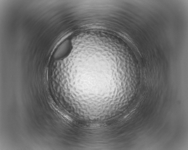X0000060780790200512011637
