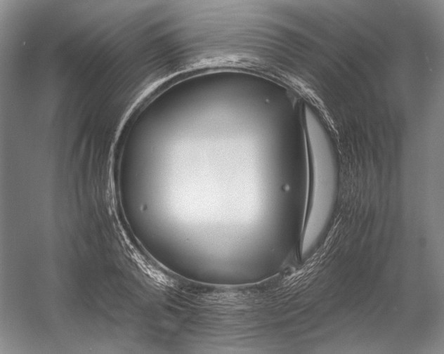 X0000060780792200512011637