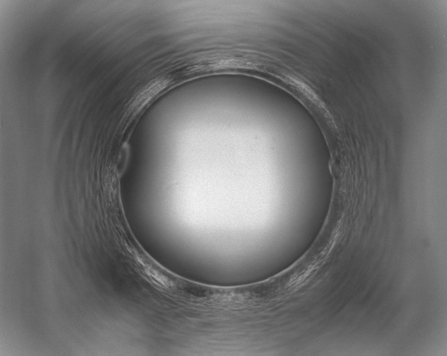 X0000060780793200512011637