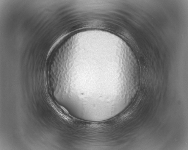 X0000060780796200512011637