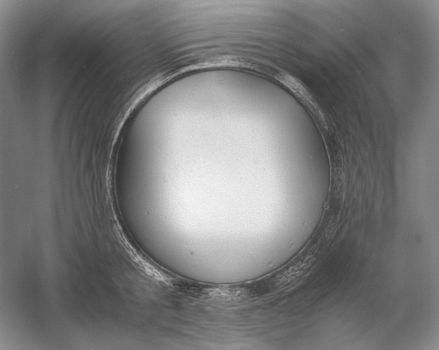 X0000060780805200512011637