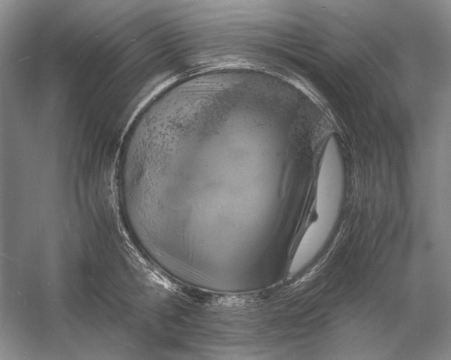 X0000060780806200512011637
