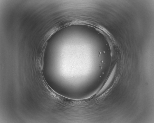 X0000060780809200512011637