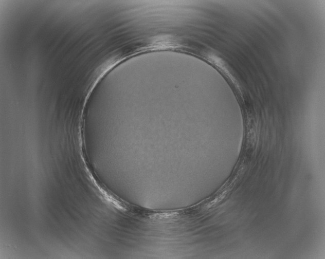 X0000060780810200512011637