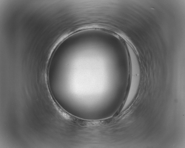 X0000060780813200512011637