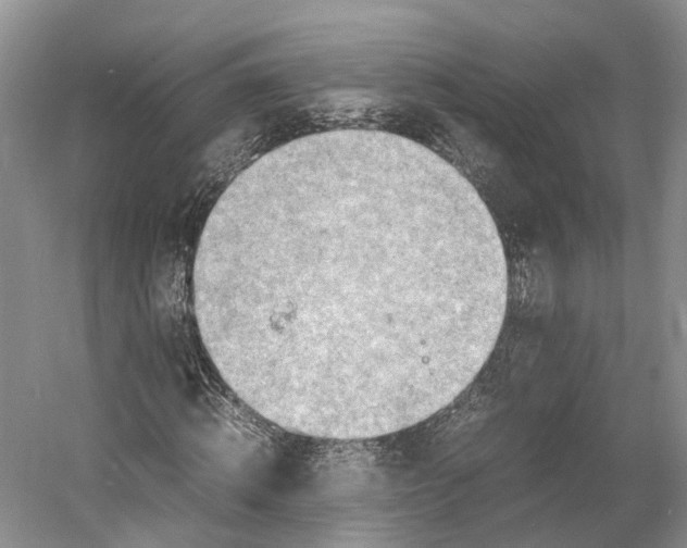 X0000060780820200512011636