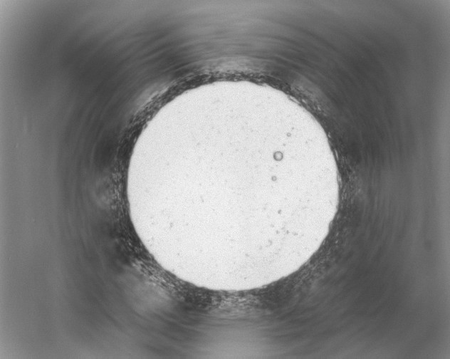 X0000060780824200512011636