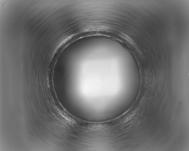 X0000060780826200512011636