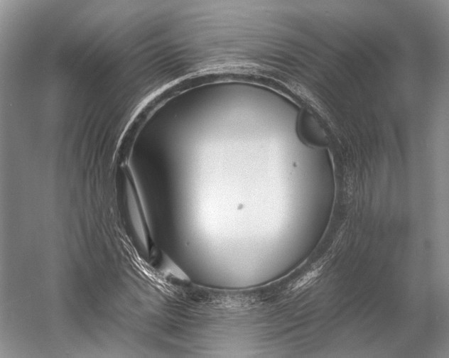 X0000060780830200512011636