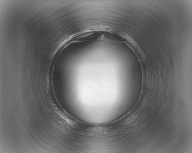 X0000060780834200512011636