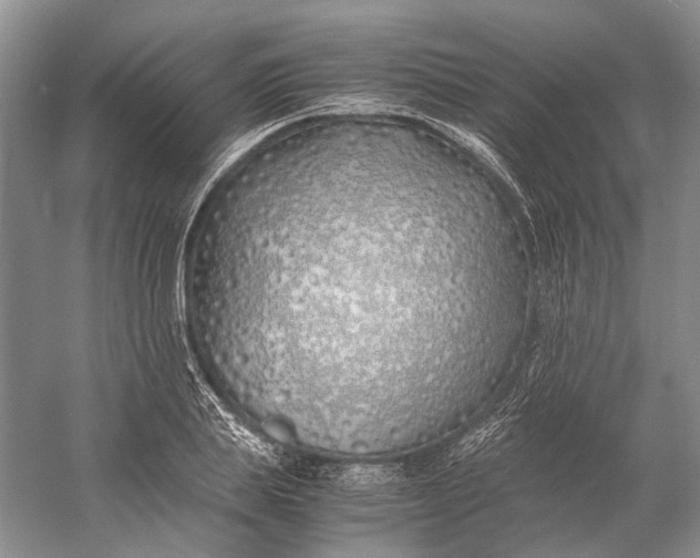 X0000060780839200512011636
