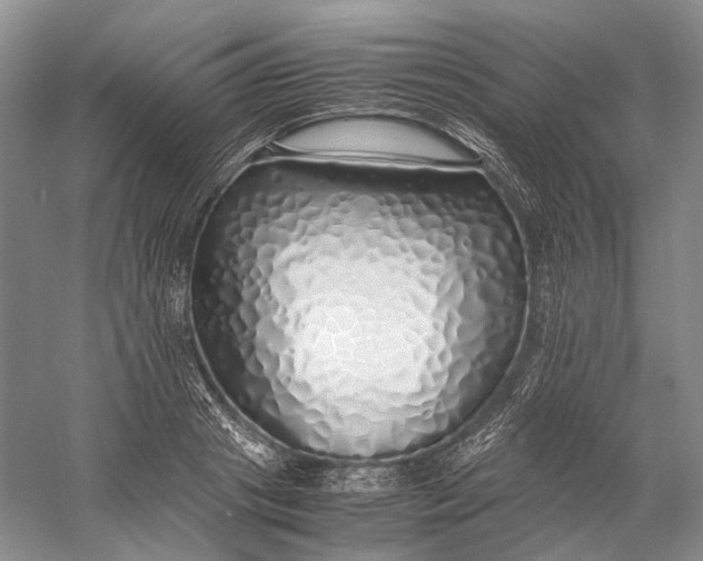X0000060780841200512011636