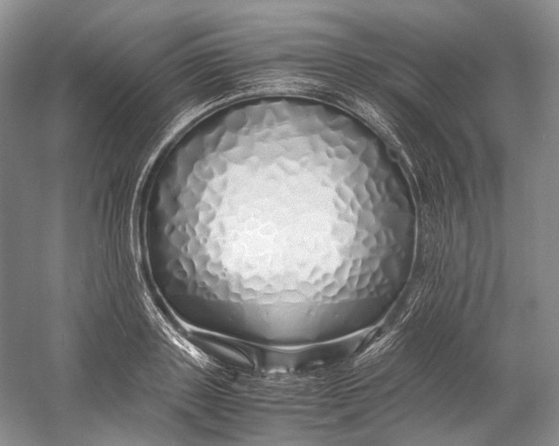 X0000060780843200512011636