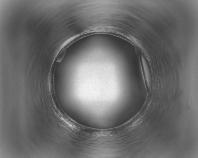 X0000060780846200512011636
