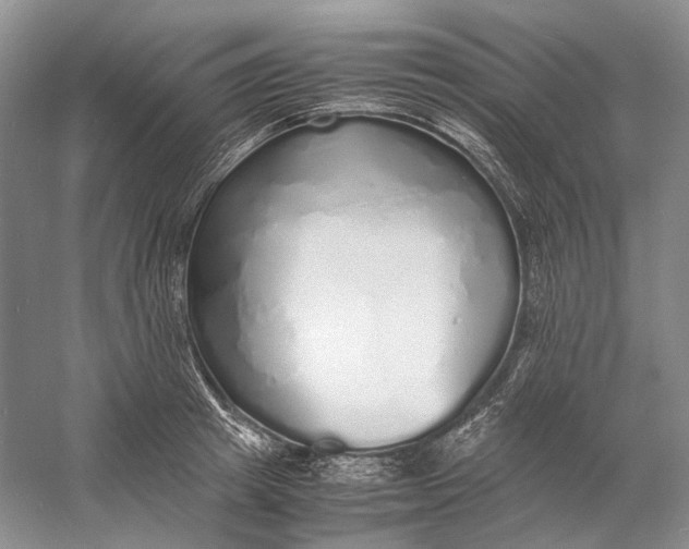 X0000060780849200512011636