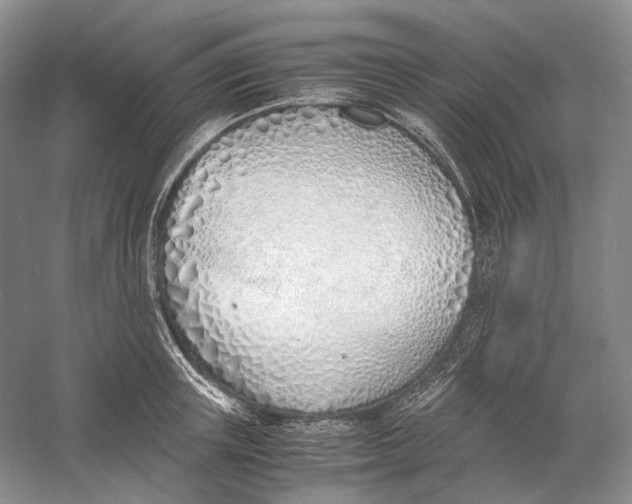 X0000060780851200512011637