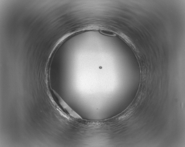X0000060780854200512011637
