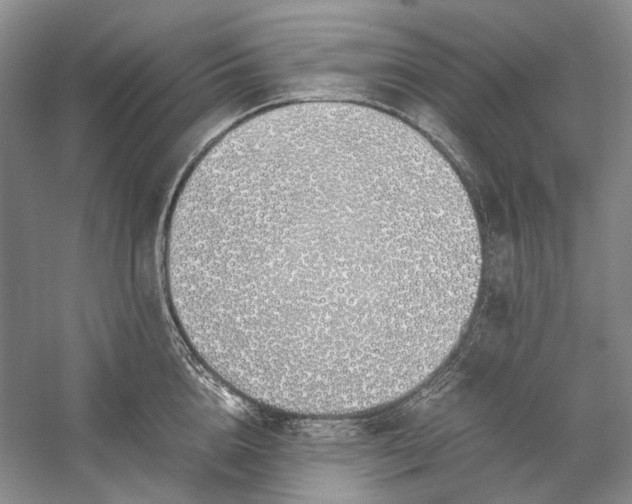 X0000060780856200512011637