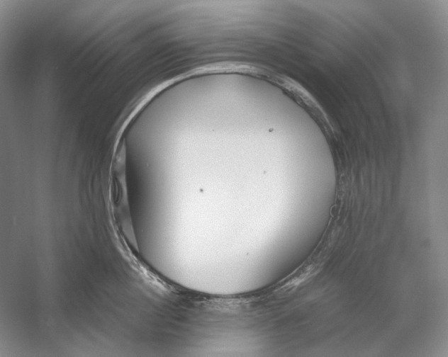 X0000060780860200512011637