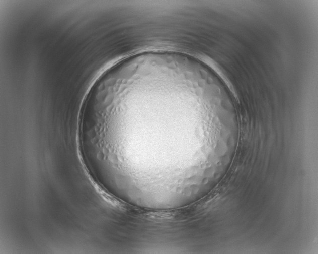 X0000060780861200512011637