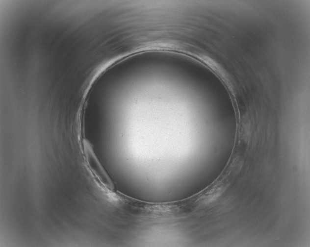 X0000060780862200512011637