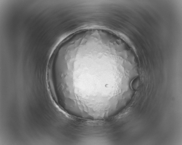 X0000060780863200512011637