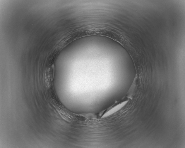 X0000060780868200512011636