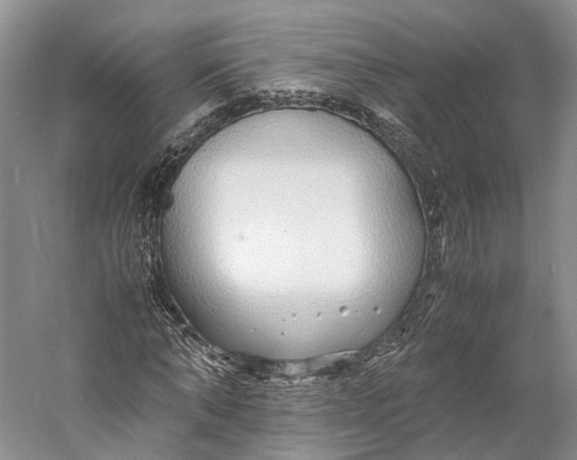 X0000060780870200512011636