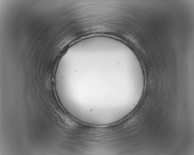 X0000060780873200512011636