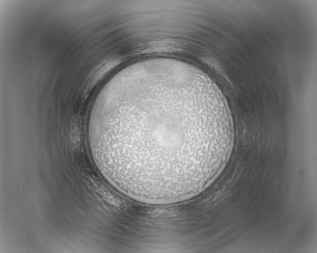 X0000060780874200512011636
