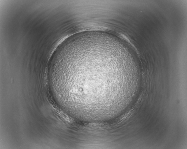 X0000060780875200512011636