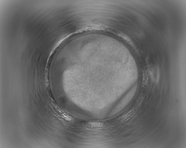 X0000060780878200512011636